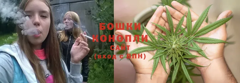 Каннабис Bruce Banner  Котово 